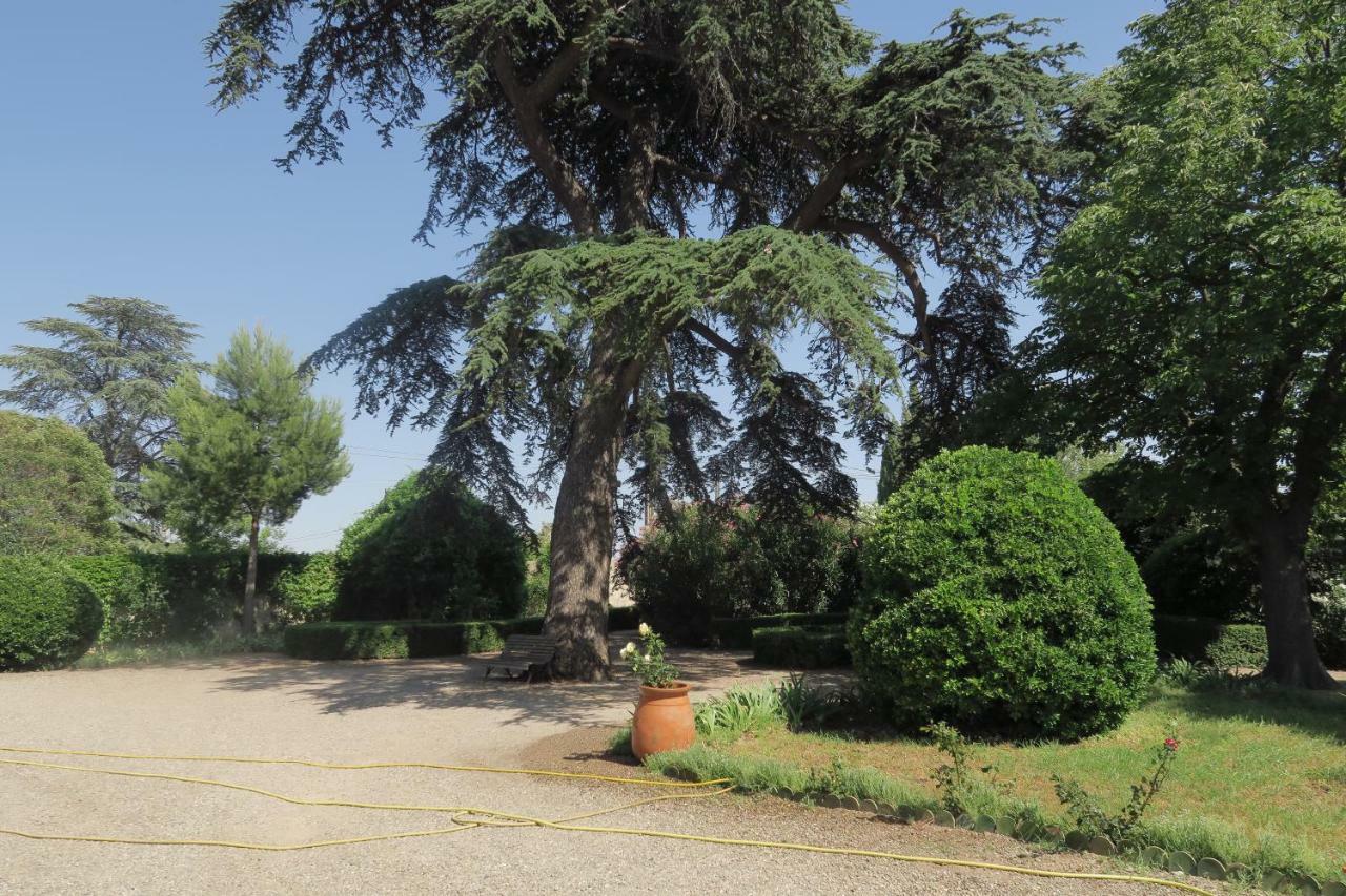 Le Domaine De Fraissinet Bed and Breakfast Ouveillan Exteriör bild